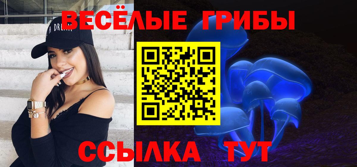 Галлюциногенные грибы Cubensis Миллерово